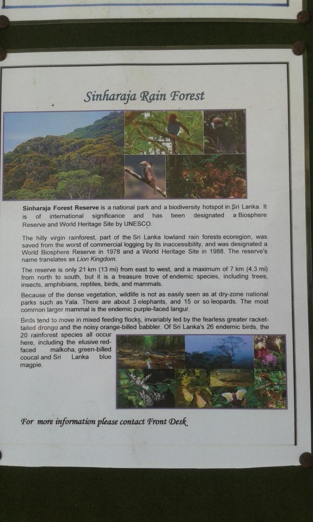 Kaween Homestay เวลิกามา ภายนอก รูปภาพ